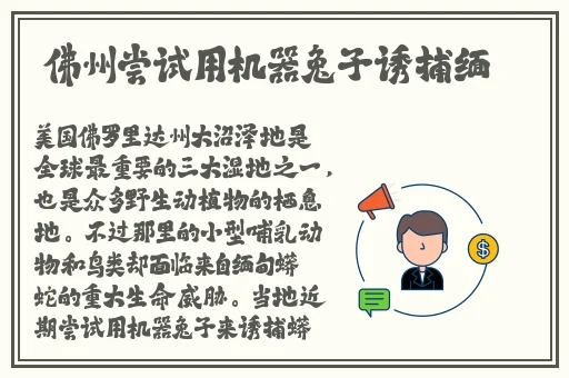 精品**在线观看